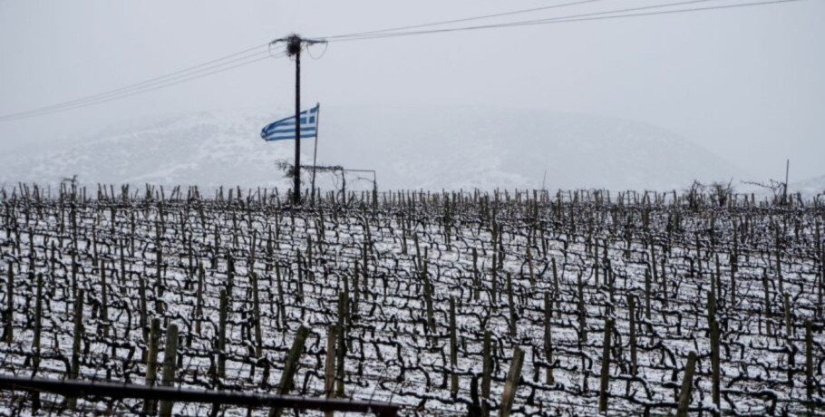 Κακοκαιρία Μπάρμπαρα: Η εφαρμογή frost.minagric.gr ασπίδα προστασίας από τον παγετό - Χρήσιμο εργαλείο στα χέρια των αγροτών