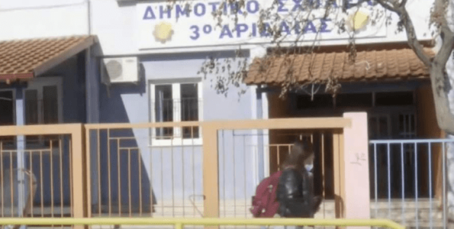 Πέλλα: Όχημα παρέσυρε και σκότωσε εκπαιδευτικό, μπροστά από το σχολείο του (video)