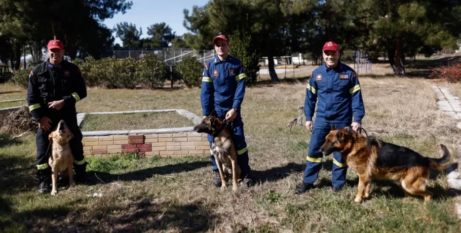 Φιντέλ, Τάλως, Έκτωρ: Τα σκυλιά της 2ης ΕΜΑΚ που σώζουν ζωές -Τους λένε «ψάξε» και φεύγουν «σφαίρα»