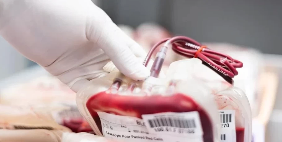 Το πρόγραμμα εξορμήσεων της Αιμοδοσίας Έδεσσας για τον μήνα Δεκέμβριο