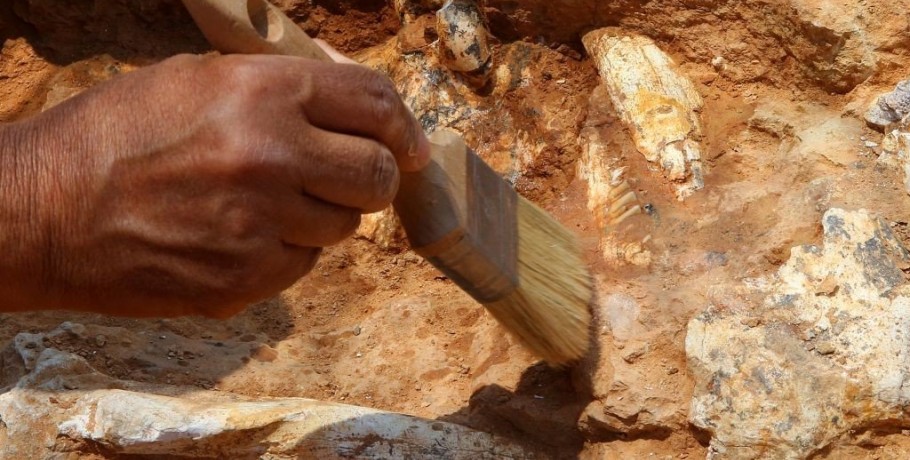 Καταγγελία για «μαφιόζικο χτύπημα» σε αρχαιολόγο