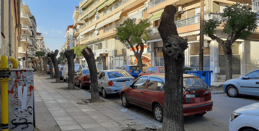Θεσσαλονίκη: Νέα κινητοποίηση από μέλη οικολογιικών οργανώσεων ενάντια στις κοπές δέντρων