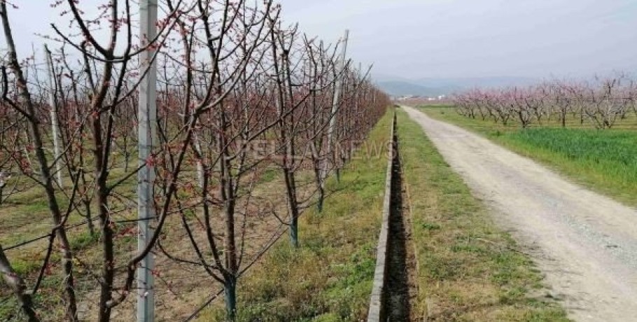 Τετράμηνη η αρδευτική περίοδος στον Δ. Σκύδρας με ερωτηματικό το Μάνδαλο