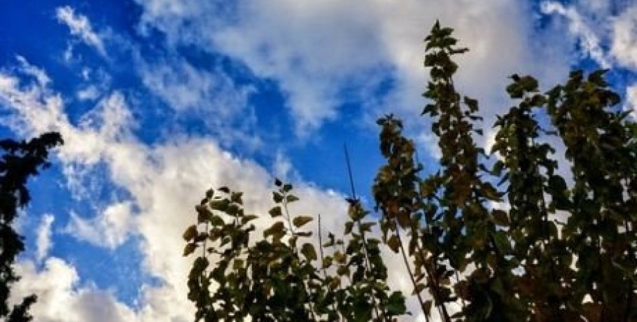 Καιρός: Αίθριος με αραιές νεφώσεις και άνοδο της θερμοκρασίας