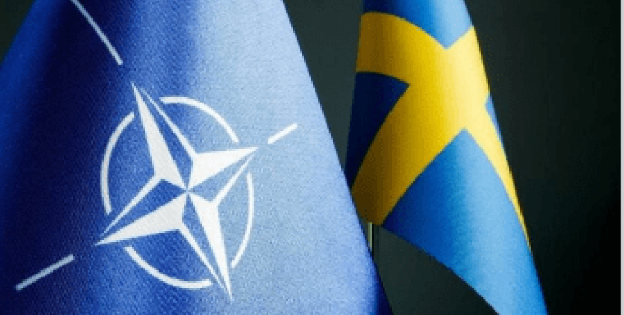 Σουηδία: «Ήμασταν προετοιμασμένοι» λέει για την μη επικύρωση της ένταξης στο ΝΑΤΟ από την Τουρκία