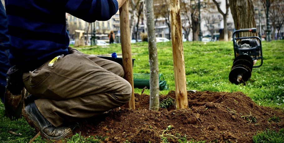 Άρχισαν οι εκτεταμένες δενδροφυτεύσεις στην πλατεία Αρχαίας Αγοράς