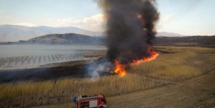 Σύλλογος Προστασίας Βεγορίτιδας "Κάψτε και την μάνα σας την ίδια"