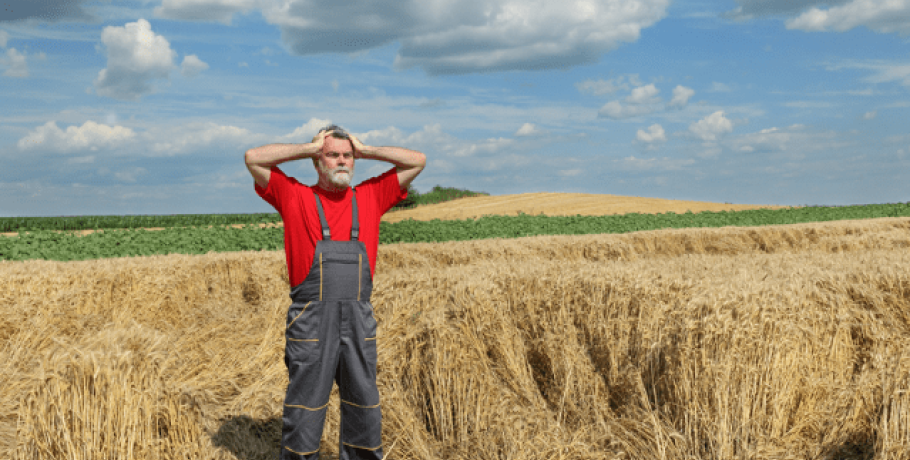 Αγρότες Πέλλας: Με πονοκέφαλο το χαλάζι και τον αυξημένο ΤΟΕΒ
