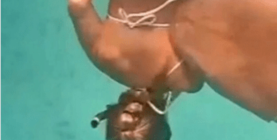 Μαλδίβες: Καρχαρίας δάγκωσε κολυμβήτρια – Βίντεο