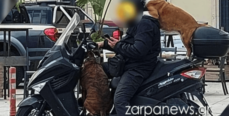 Κρήτη: Πρόστιμο 1.500 ευρώ σε οδηγό για τρικάβαλο με δύο σκύλους