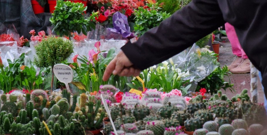 Με βροχή, με πολιτική αλλά και με γεμάτη λουλούδια εβδομάδα (φωτορεπορτάζ)