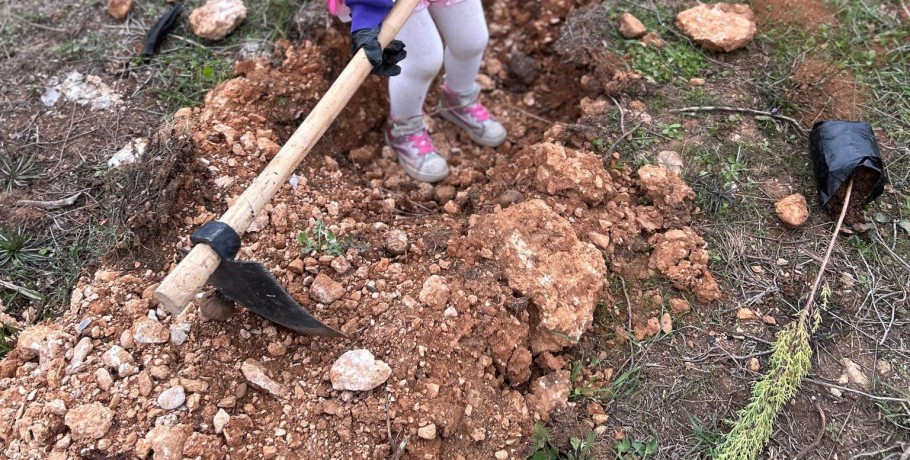 Δενδροφυτεύσεις και εκπαιδεύσεις από τη ΔΕΗ και τη We4all