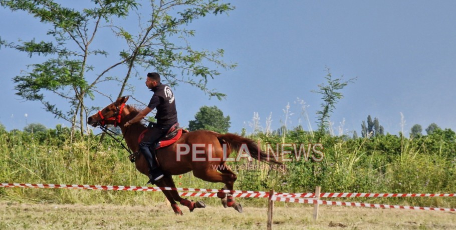 Αραβησσός: Μια πανέμορφη επίδειξη με τα άλογα