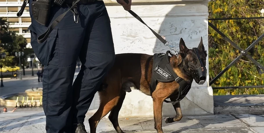 Ξεσπά ο αδερφός του αστυνομικού – χειριστή λαγωνικού Κ9 που αυτοκτόνησε: «Αυτός τον οδήγησε στον θάνατο»