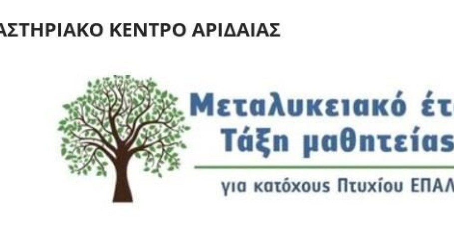 Προσφορά θέσεων μαθητείας από τον ιδιωτικό τομέα για το «Μεταλυκειακό έτος-τάξη μαθητείας ΕΠΑ.Λ » περιόδου 2023-2024