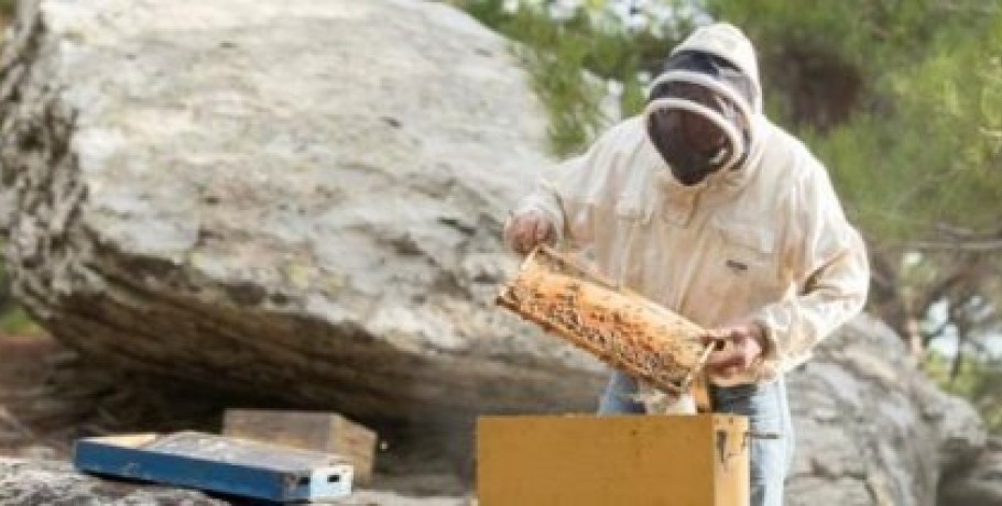 Έως 31/7 αιτήσεις ενίσχυσης μελισσοκόμων, μετά μείωση 1% κάθε εργάσιμη μέρα καθυστέρησης
