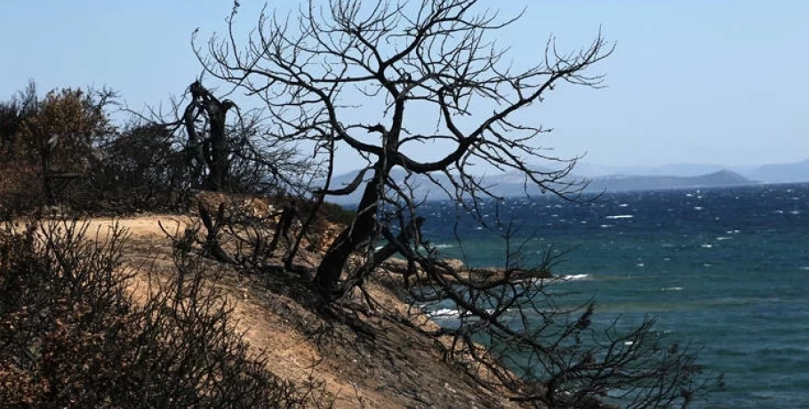 Φωτιά στο Μάτι: Διεκόπη η δίκη λόγω εκλογής της Ρένας Δούρου στη Βουλή – «Υπάρχει δικονομικό κώλυμα»