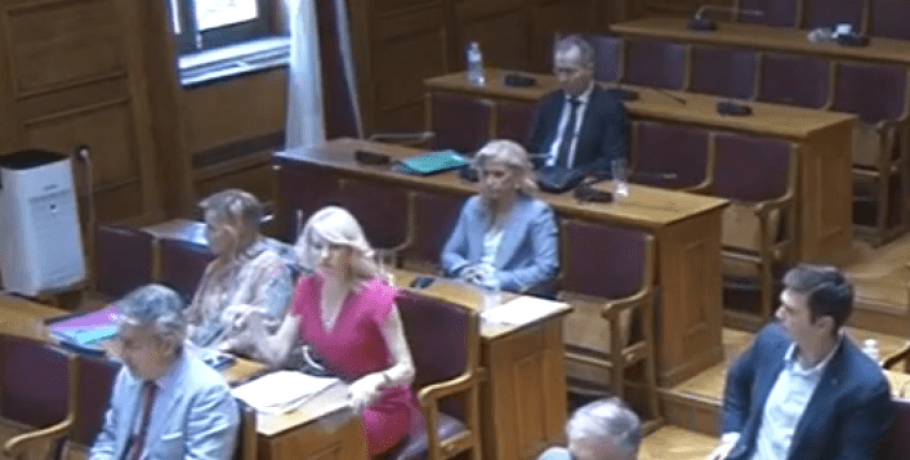 "Πλανεμένη κυβέρνηση" για τον απόδημο ελληνισμό βλέπει η Θ. Τζάκρη