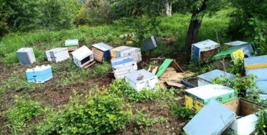 Ηλεκτροφόρους φράχτες και αποζημιώσεις καταστροφών ζητούν οι μελισσοκόμοι