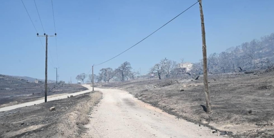 Προκαταρκτική εξέταση για τα νεκρά ζώα σε καταφύγιο στο Λαγονήσι