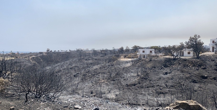 Διευκρινίσεις για τις ενισχύσεις σε παραγωγούς, για τις ζημίες από τις Πυρκαγιές 2023