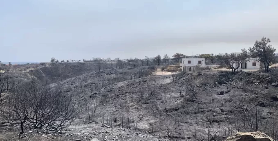 Λέκκας: 135.000 στρέμματα δασικής έκτασης κάηκαν στη Ρόδο