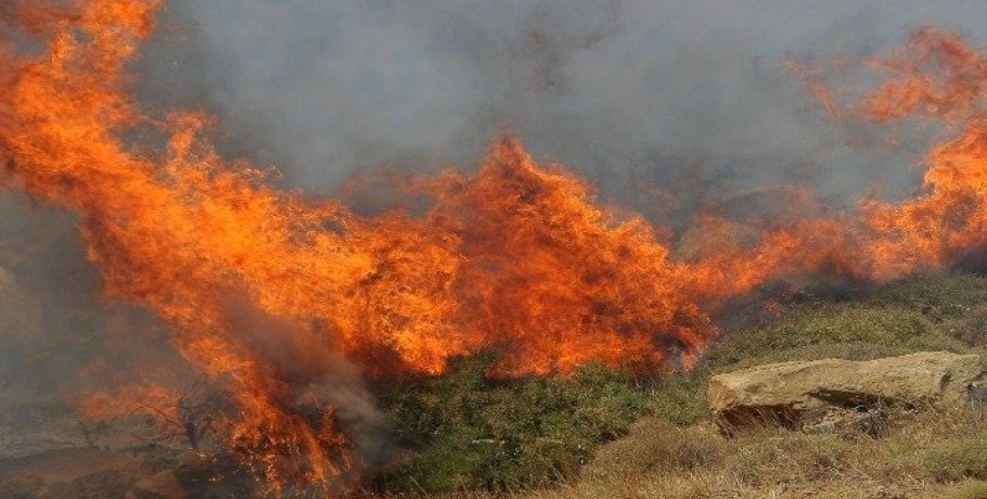 Πυρκαγιά σε δασική έκταση στο Άνω Βαθύ Σάμου