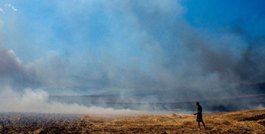 Μαγνησία: Μακριά από κατοικημένες περιοχές οι εστίες φωτιάς
