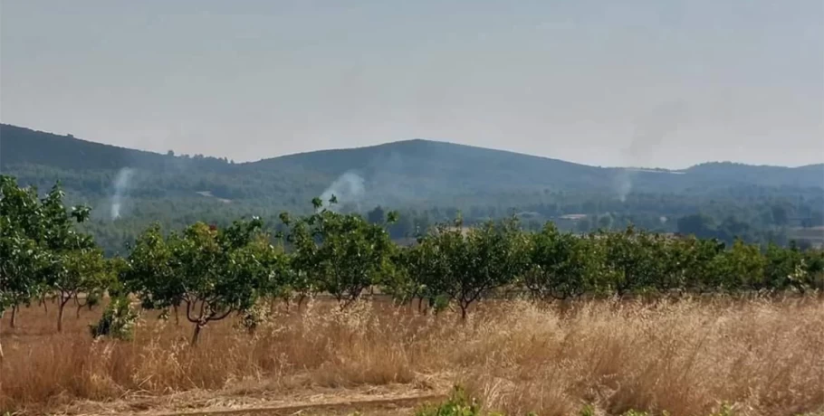 Φωτιές: Τέσσερις προσαγωγές για εμπρησμό σε Αυλώνα και Μενίδι