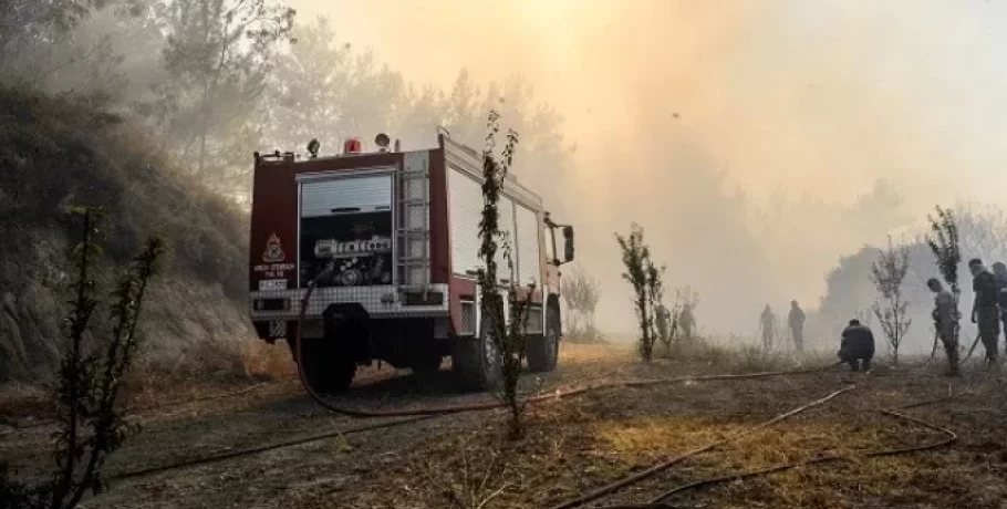 Φωτιά σε αγροτοδασική έκταση στην Κόκλα Άργους