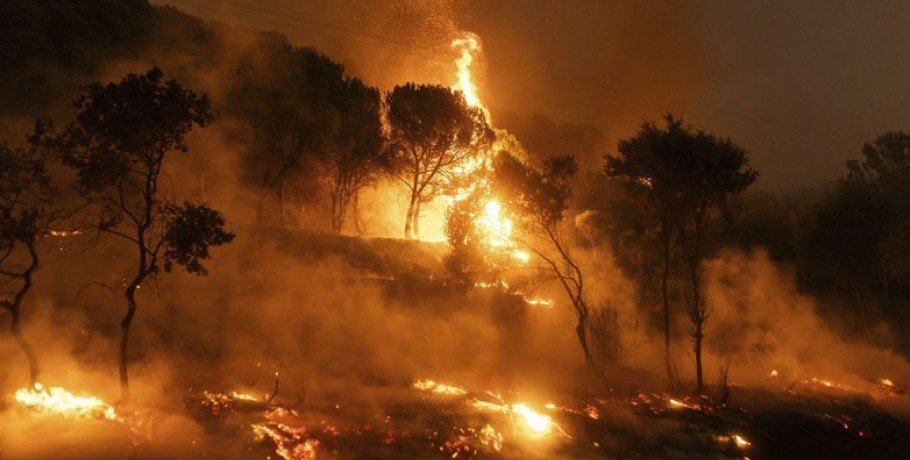 Εικόνες που προκαλούν θλίψη: Το «πριν» και το «μετά» της καταστροφικής πυρκαγιάς στη Δαδιά