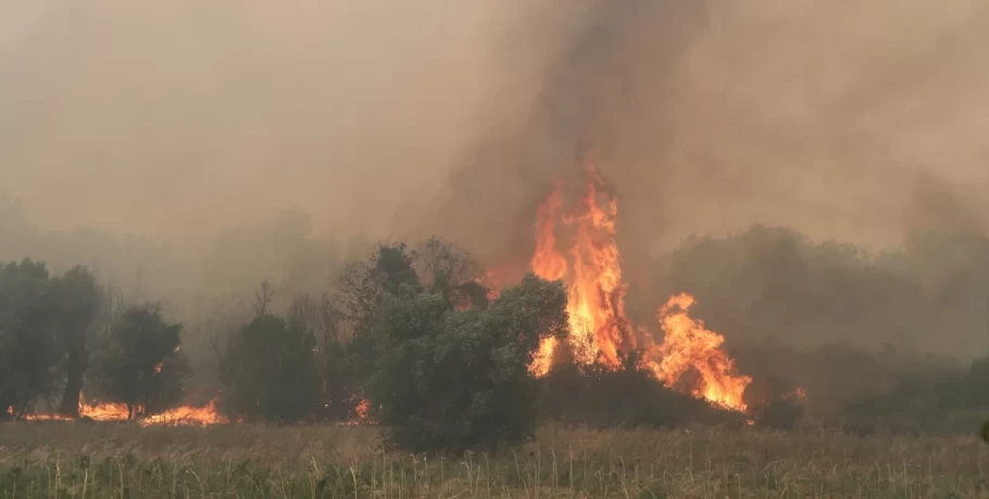 Απαλλαγή από ΕΝΦΙΑ, ρύθμιση και αναστολή ασφαλιστικών εισφορών -Τα 12+1 μέτρα για τους πυρόπληκτους του Έβρου