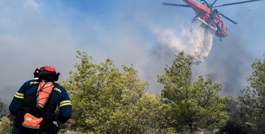 Αναδασώσεις άμεσα και αντιδιαβρωτικά έργα σε Πάρνηθα και Εβρο