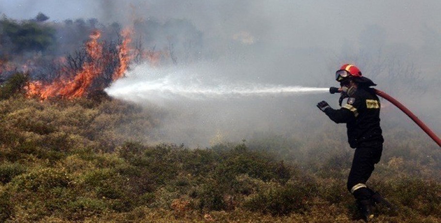 Φωτιά σε δασική περιοχή στο Αηδονοχώρι Σερρών