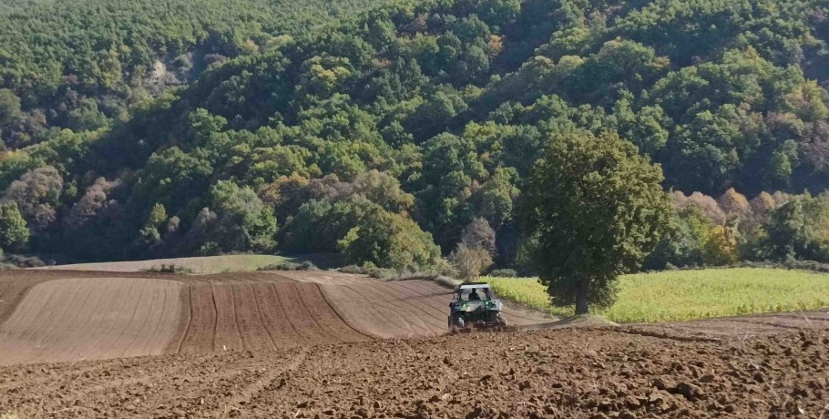 Παράταση υποβολής Ενιαίας Αίτησης Ενίσχυσης 2023