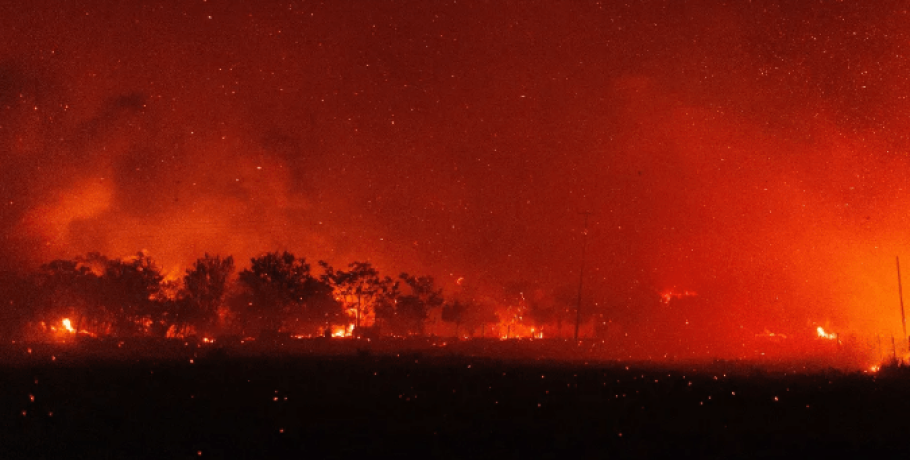 Η πυρκαγιά στον Έβρο είναι η μεγαλύτερη που έχει καταγραφεί στην Ε.Ε.