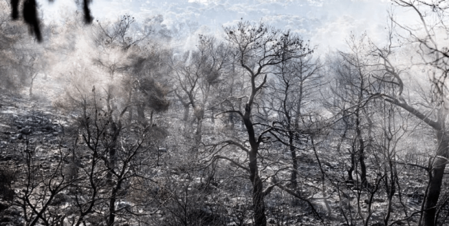 Κλείνει με 1,7 εκατ. καμένα στρέμματα ο κύκλος των καλοκαιρινών πυρκαγιών