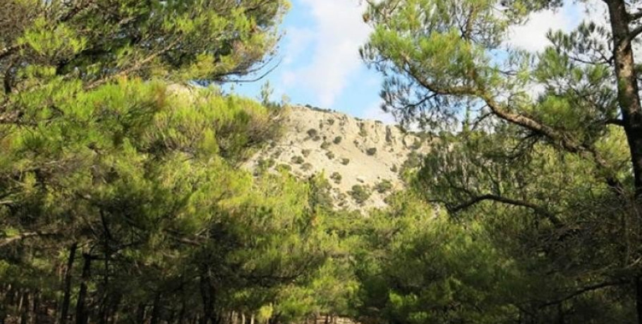 Ενημέρωση για την ανάκληση των Αποφάσεων  του Αντιπεριφερειάρχη Π.Ε. Ημαθίας περί απαγόρευσης κυκλοφορίας στις περιοχές ευθύνης του Δασαρχείου Βέροιας και  του Δασαρχείου Νάουσας