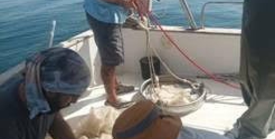 Τα συμπεράσματα του ΙΝΑΛΕ καταρρίπτουν αντιεπιστημονικές εκτιμήσεις και fakenews για τον Παγασητικό κόλπο