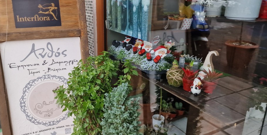Χριστούγεννα με λουλούδια από τον Ανθό