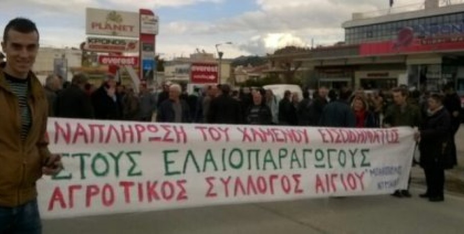 Σε μαζικές κινητοποιήσεις ανά Περιφέρεια στις 7 Δεκεμβρίου οι ελαιοπαραγωγοί για την ακαρπία