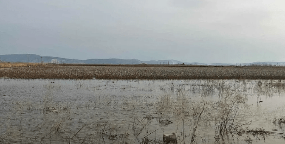 Θεσσαλία: Εν αναμονή του πορίσματος των Ολλανδών