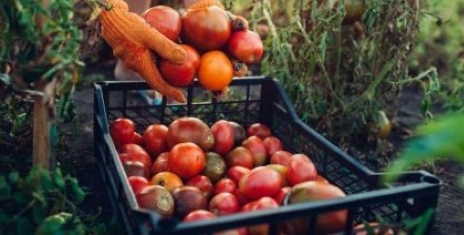 Πληρωμές προκαταβολής ύψους 70% αγροπεριβαλλοντικών και βιολογικών μέτρων έτους 2023