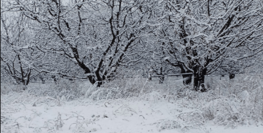 Στο Καϊμάκτσαλαν "φώλιασε" ο χειμώνας - Όμορφο θέαμα αλλά δύσκολο για δουλειά (φώτο, video)