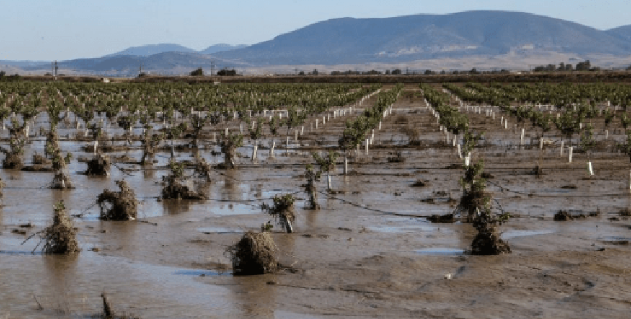Απόφαση της ΕΕ για προκαταβολή για Daniel