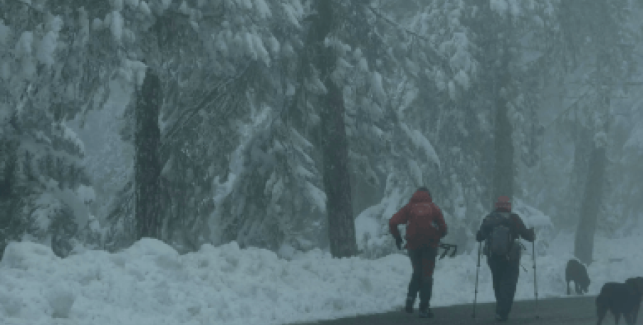 Φθιώτιδα: Διασώθηκε ορειβάτης που έπεσε σε διαβητικό κώμα στα χιονισμένα Βαρδούσια
