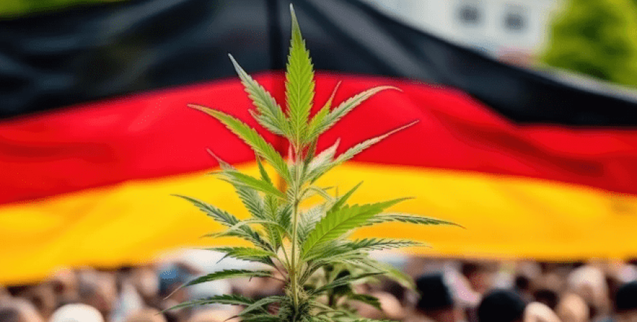 Εγκρίθηκε από τη γερμανική Βουλή η μερική νομιμοποίηση της κάνναβης