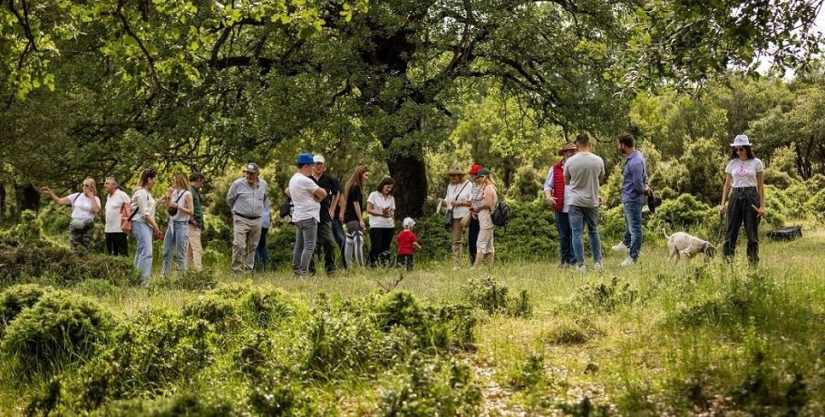 Στις 3 Μαρτίου ξεκινά το Κυνήγι Τρούφας στα Μετέωρα