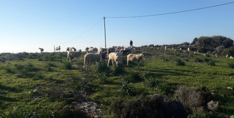 Μετά από πολλά χρόνια... επιτέλους επανακτάται η αίσθηση ασφάλειας!