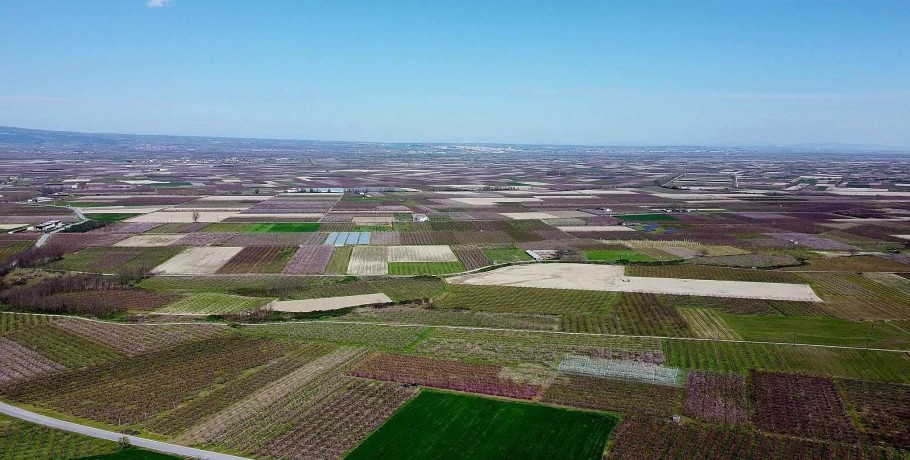 Ο Στέφανος Μίντζας συναντάει τον Ιορδάνη Τζαμτζή με φόντο τις Ανθισμένες ροδακινιές